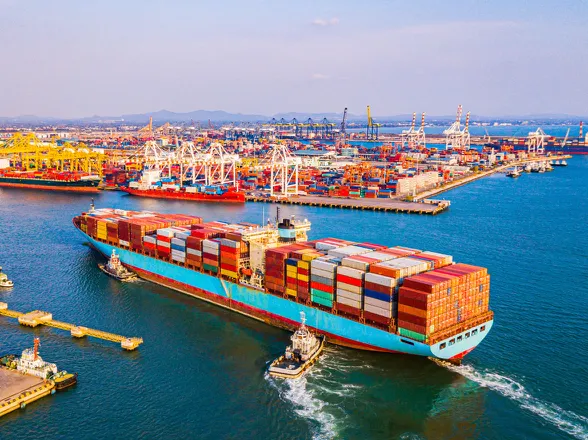 Thị trường xuất khẩu trà Ô Long tiềm năng: Ai đang mua trà Việt?