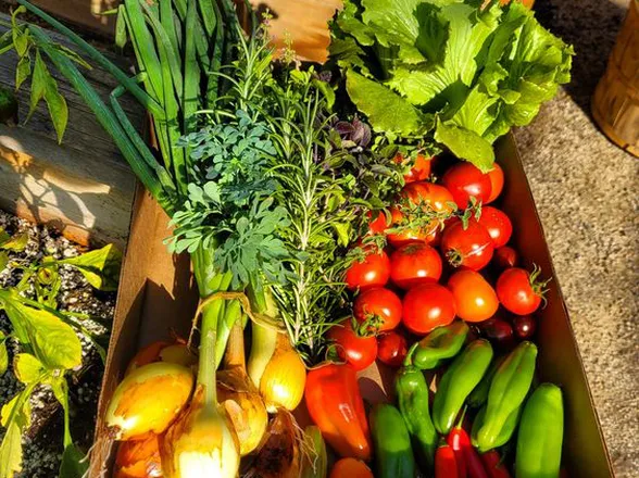 LỢI ÍCH SỨC KHỎE KHI LỰA CHỌN THỰC PHẨM SẠCH