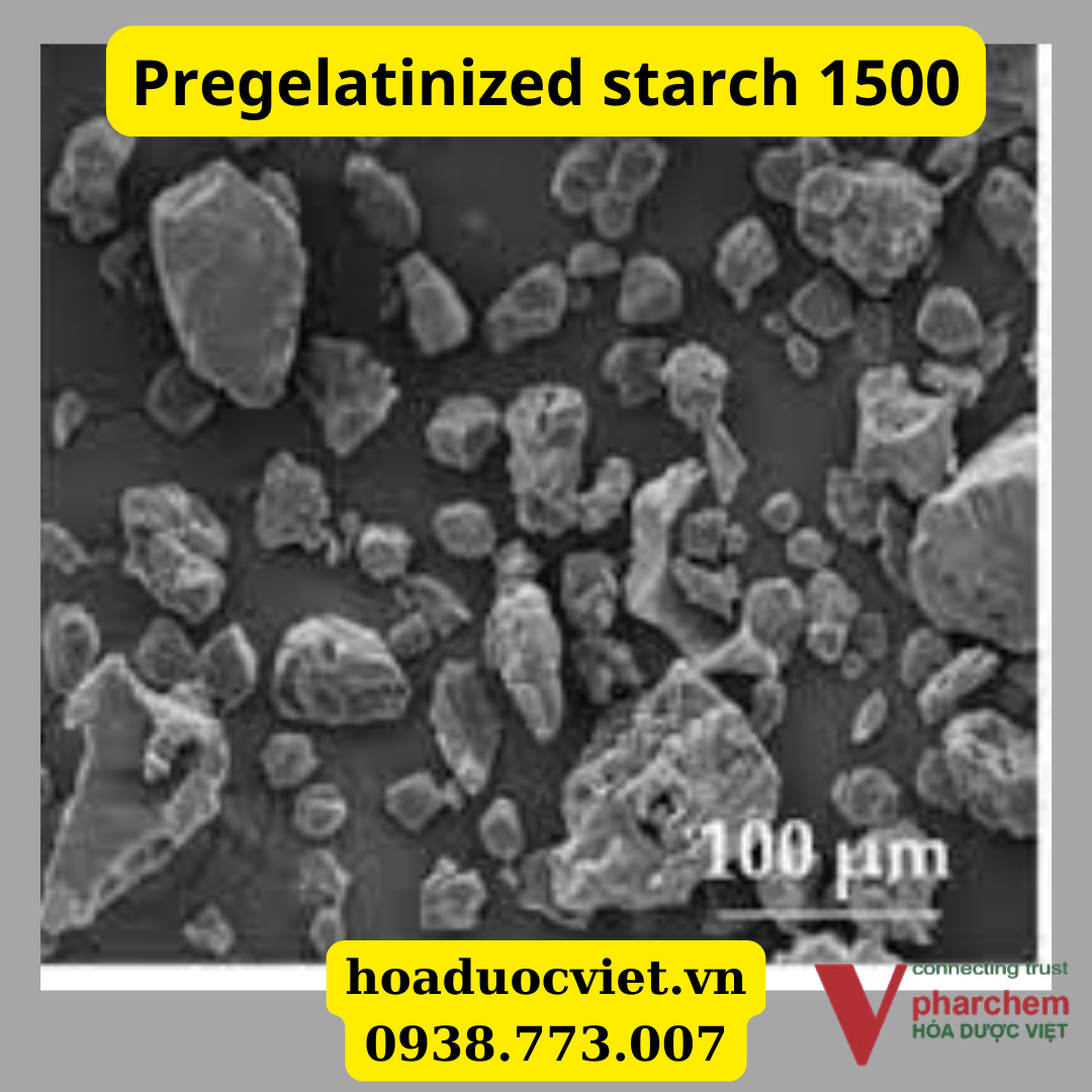 Pregelatinized Starch (Starch 1500) Pregelatinized Starch (Starch 1500)