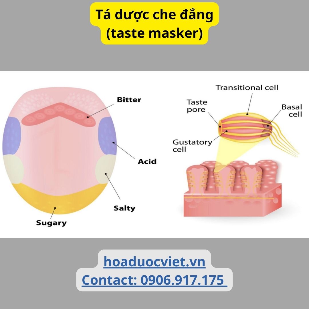 tá dược che đắng (taste masker) tá dược che đắng (taste masker)