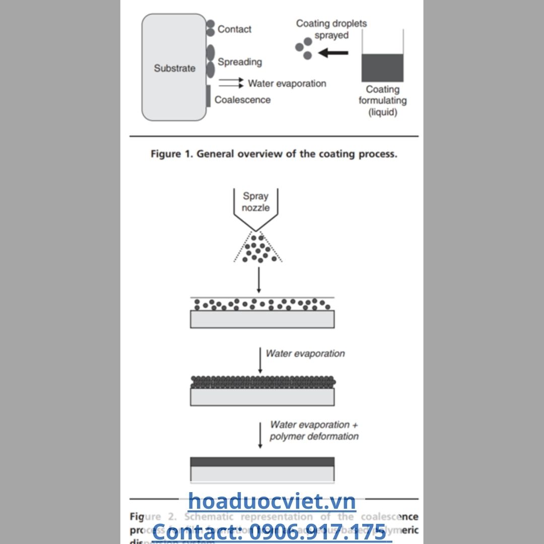 tá dược bao trong quá trình bao tá dược bao trong quá trình bao