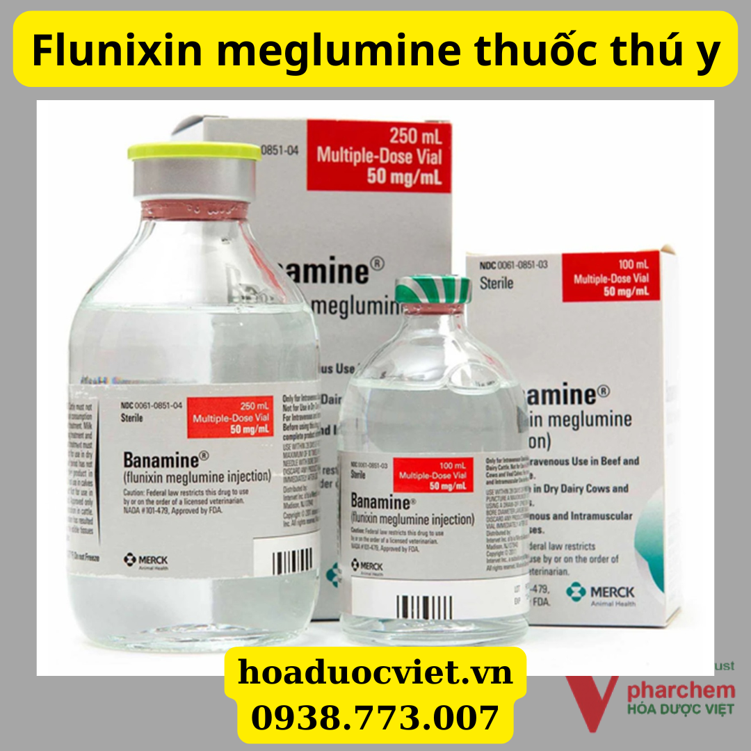 Flunixin meglumine Flunixin meglumine