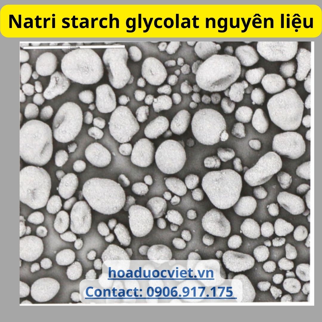 Sodium Starch Glycolate Sodium Starch Glycolate