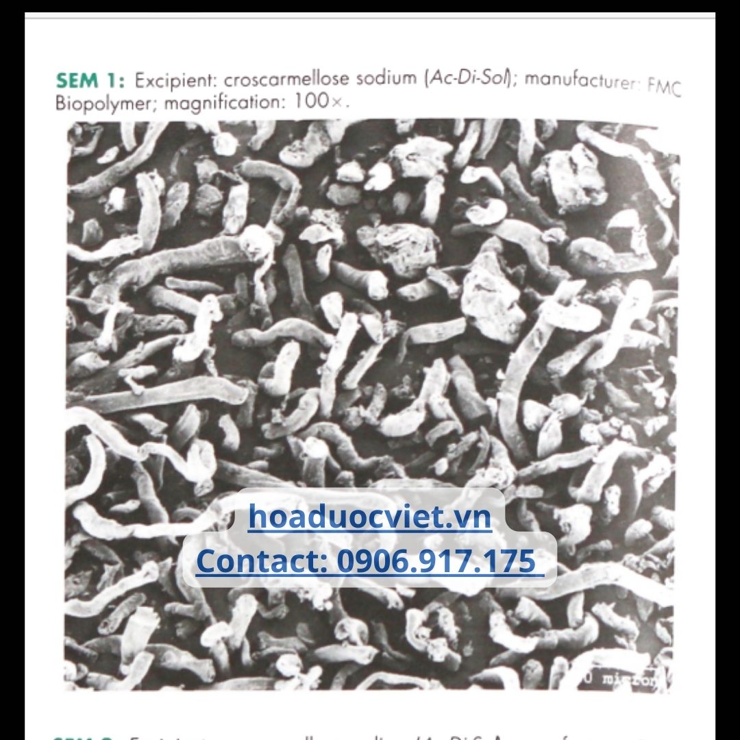 Croscarmellose Croscarmellose