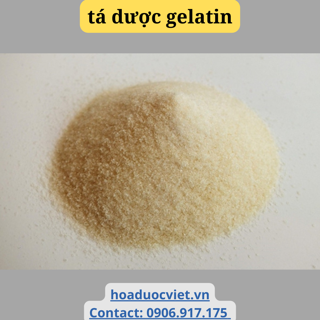 tá dược gelatin tá dược gelatin