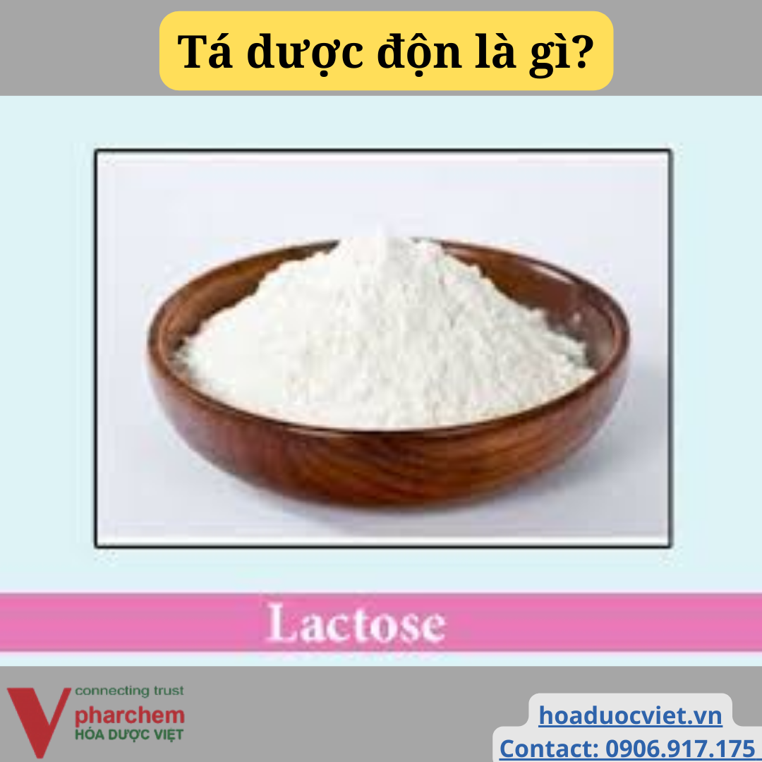 tá dược độn tá dược độn