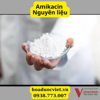 Amikacin nguyên liệu