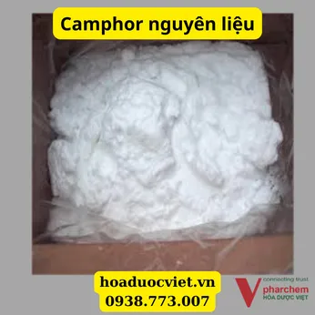 Camphor nguyên liệu dược
