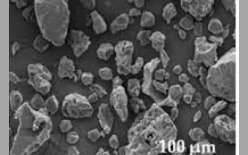 Kiểm soát chất lượng Pregelatinized Starch (Starch 1500) theo tiêu chuẩn USP – EP