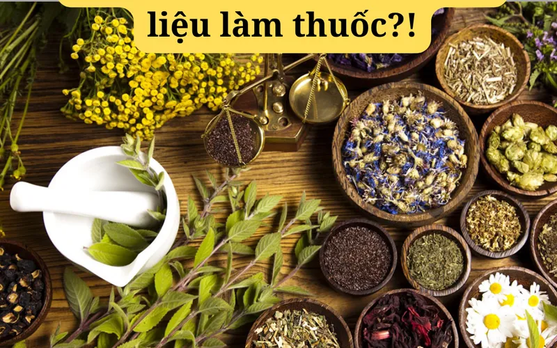 Nguyên liệu dược phẩm là gì? Các tiêu chuẩn của nguyên liệu dược và thông tin thị trường tại Việt Nam