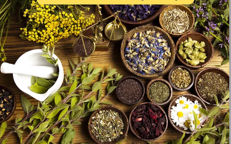 Thành phần có hoạt tính trong chiết xuất dược liệu