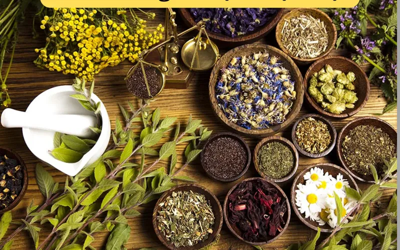 Chiết xuất dược liệu – xu hướng mới trong thuốc và thực phẩm bảo vệ sức khỏe