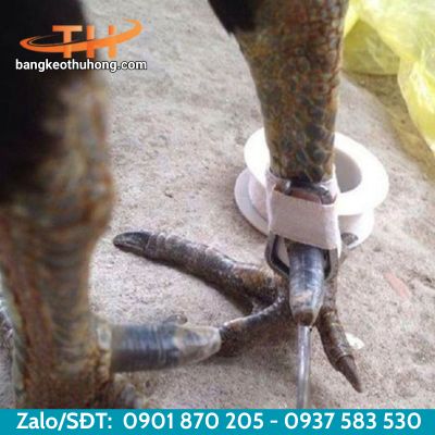 Băng keo dán cựa gà an toàn chắc chắn Băng keo dán cựa gà an toàn chắc chắn