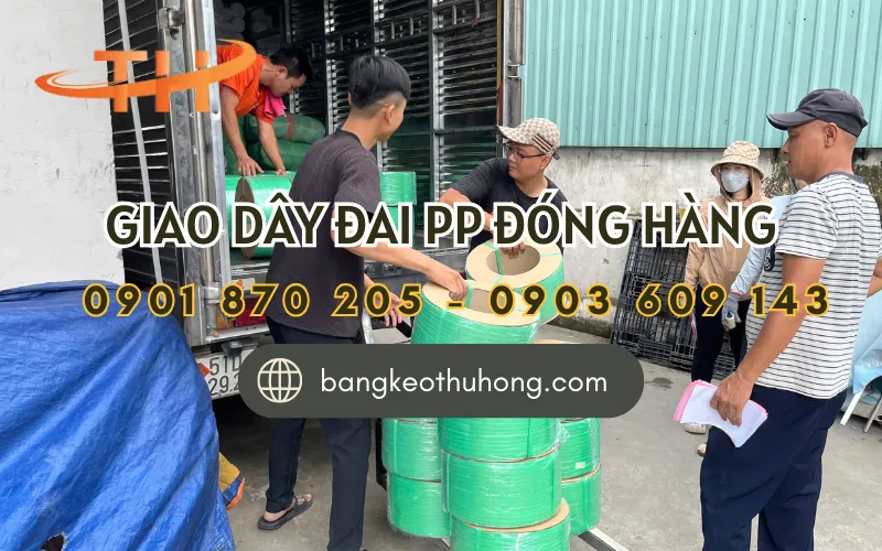 Giao dây đai PP đóng hàng cho khách ở TPHCM