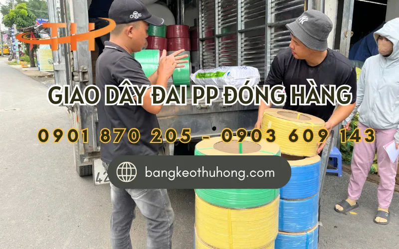 Dây đai nhựa PP chất lượng giao hàng tận nơi
