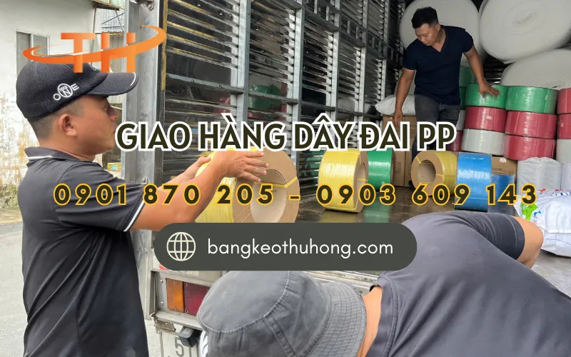 Lên hàng dây đai PP đóng hàng giao sỉ cho khách tại TPHCM