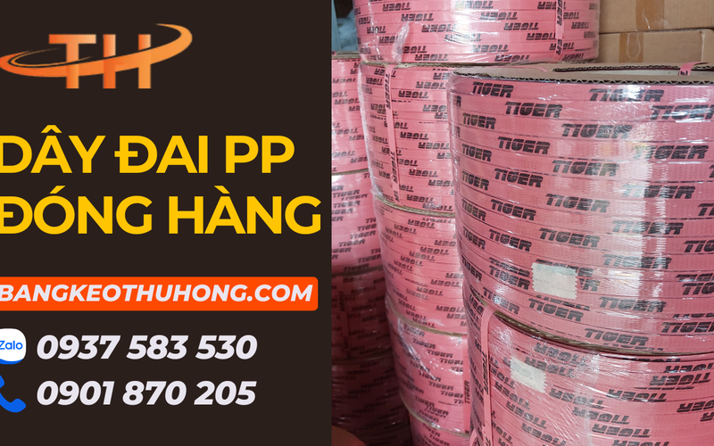 Xưởng sản xuất dây đai PP đóng hàng các loại giá tốt khu vực miền nam