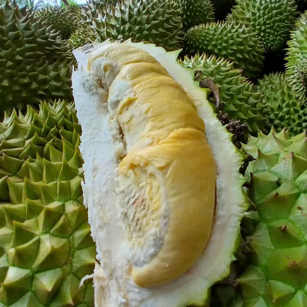 Sầu riêng Ri6