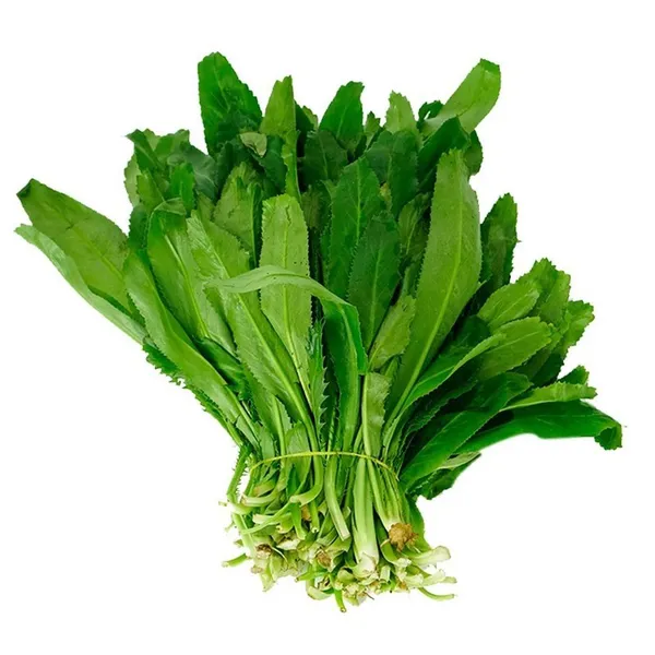 Ngò gai