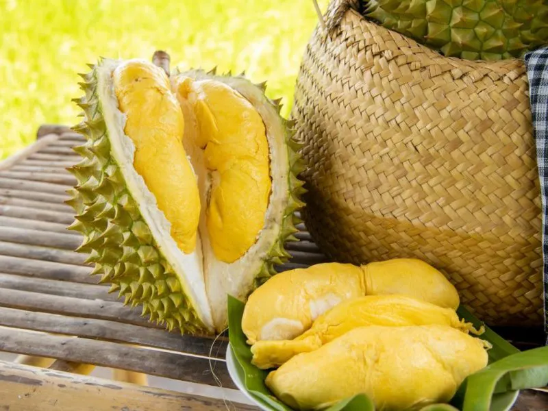 Sầu riêng Ri6 là gì? Cách chọn mua sầu riêng Ri6 chất lượng