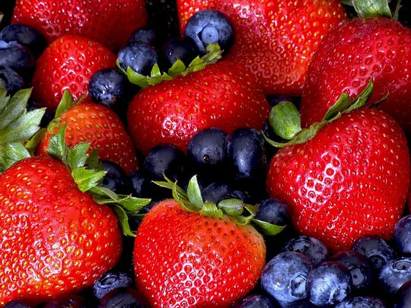 Các chuyên gia Ấn Độ giới thiệu 5 nhóm thực phẩm cực tốt cho não bộ