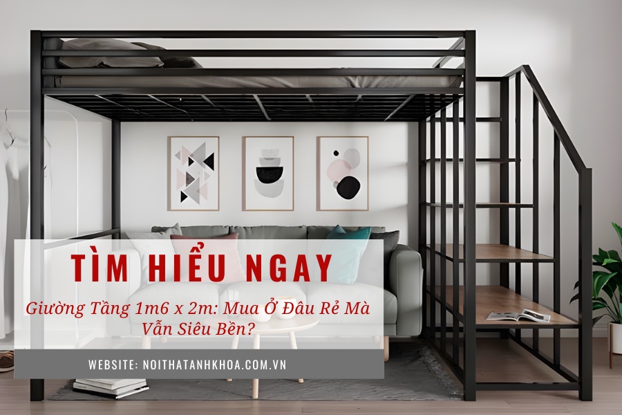 Giường tầng 1m6 x 2m: Mua ở đâu rẻ mà vẫn siêu bền? Giường tầng 1m6 x 2m: Mua ở đâu rẻ mà vẫn siêu bền?