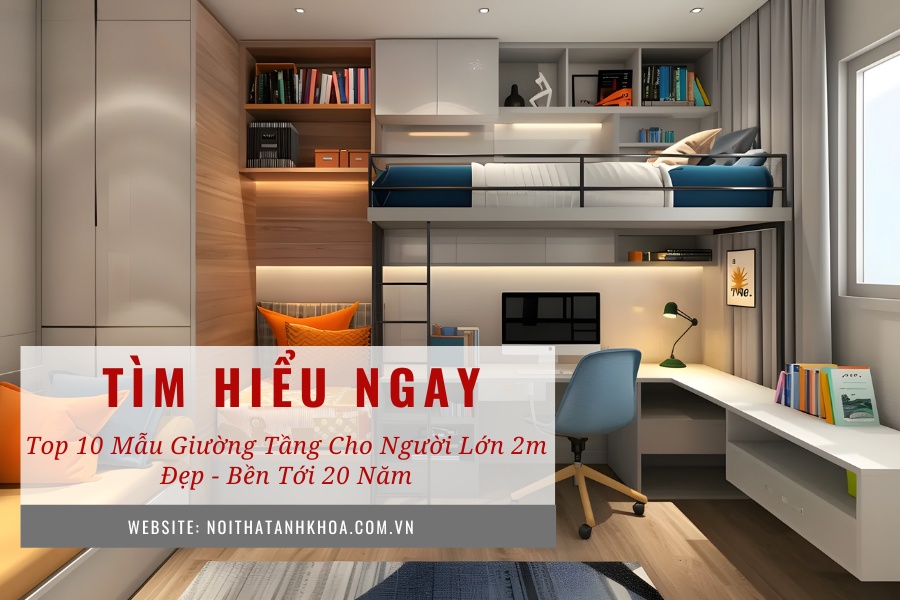 Top 10 mẫu giường tầng cho người lớn 2m đẹp - Bền tới 20 năm Top 10 mẫu giường tầng cho người lớn 2m đẹp - Bền tới 20 năm