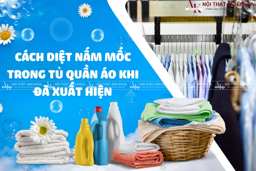 Cách diệt nấm mốc trong tủ quần áo khi đã xuất hiện Cách diệt nấm mốc trong tủ quần áo khi đã xuất hiện