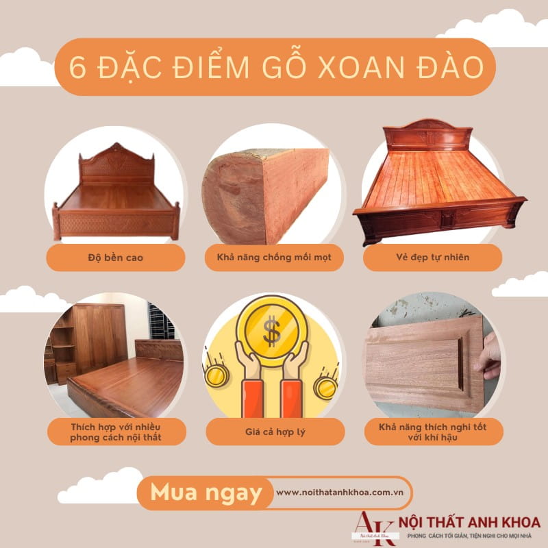 6 đặc điểm chính khi sử dụng giường ngủ gỗ xoan đào 6 đặc điểm chính khi sử dụng giường ngủ gỗ xoan đào