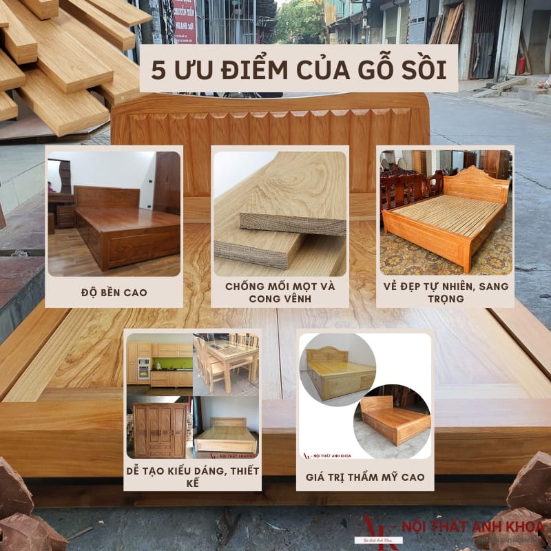 5 ưu điểm khi sử dụng gỗ sồi cao cấp 5 ưu điểm khi sử dụng gỗ sồi cao cấp