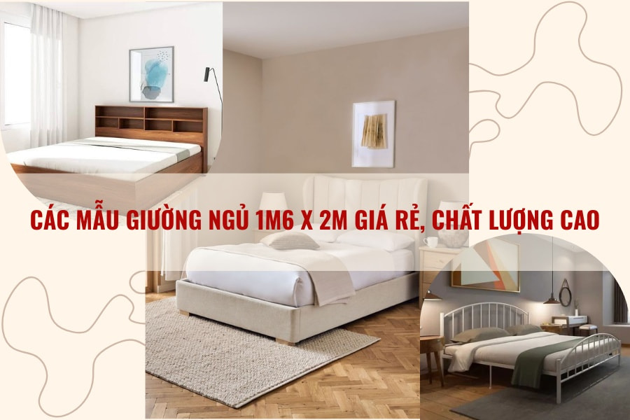 Các mẫu giường ngủ 1m6 x 2m giá rẻ, chất lượng cao Các mẫu giường ngủ 1m6 x 2m giá rẻ, chất lượng cao