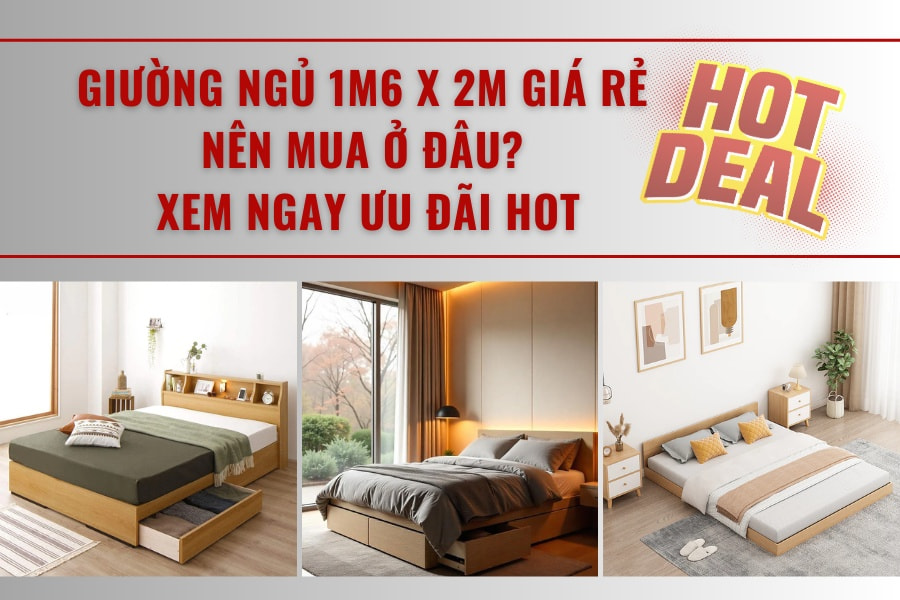 Giường Ngủ 1m6x2m Giá Rẻ Nên Mua Ở Đâu? Xem Ngay Ưu Đãi Hot Giường Ngủ 1m6x2m Giá Rẻ Nên Mua Ở Đâu? Xem Ngay Ưu Đãi Hot