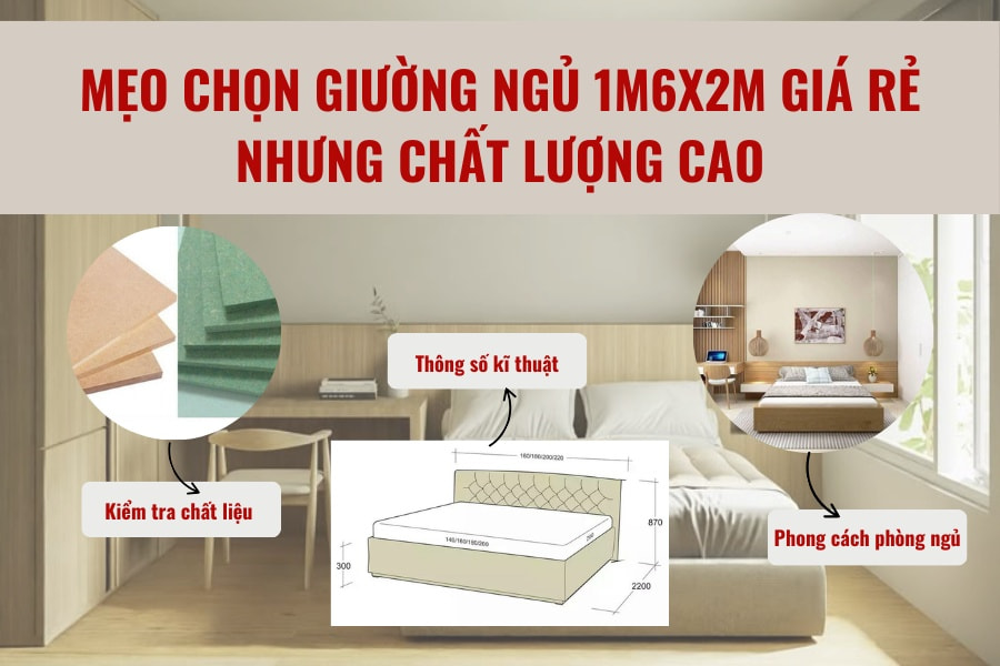 Mẹo chọn giường ngủ 1m6x2m giá rẻ nhưng chất lượng cao Mẹo chọn giường ngủ 1m6x2m giá rẻ nhưng chất lượng cao