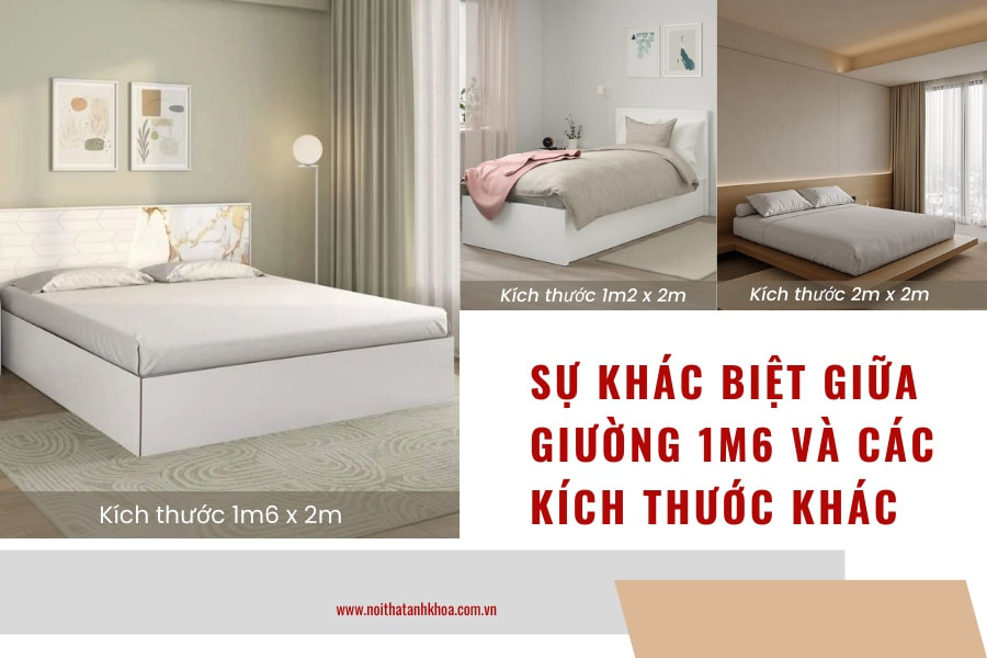 Sự khác biệt giữa giường 1m6 và các kích thước khác Sự khác biệt giữa giường 1m6 và các kích thước khác