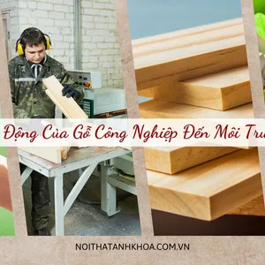 Vai trò của Gỗ Công nghiệp đối với môi trường