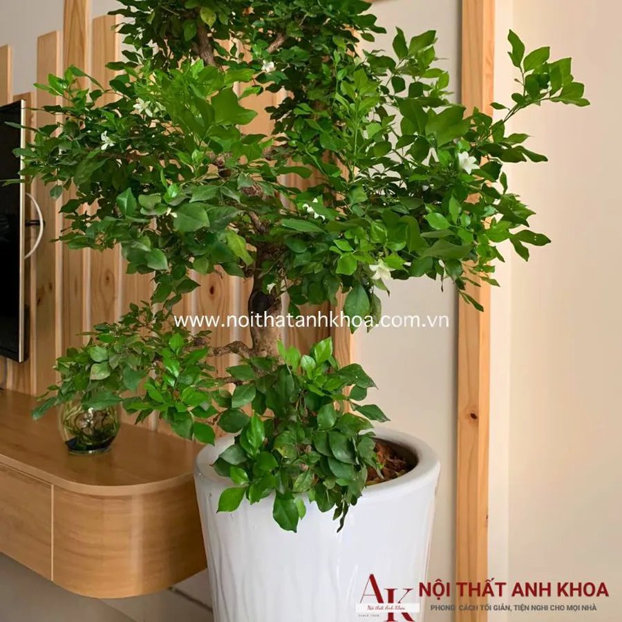 Kệ Tivi Treo Tường Gỗ Công Nghiệp MDF Phủ Melamine Cao Cấp