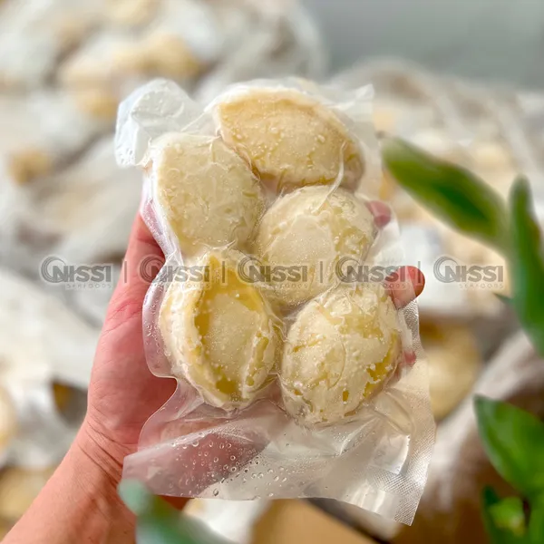 Frozen Abalone Meat