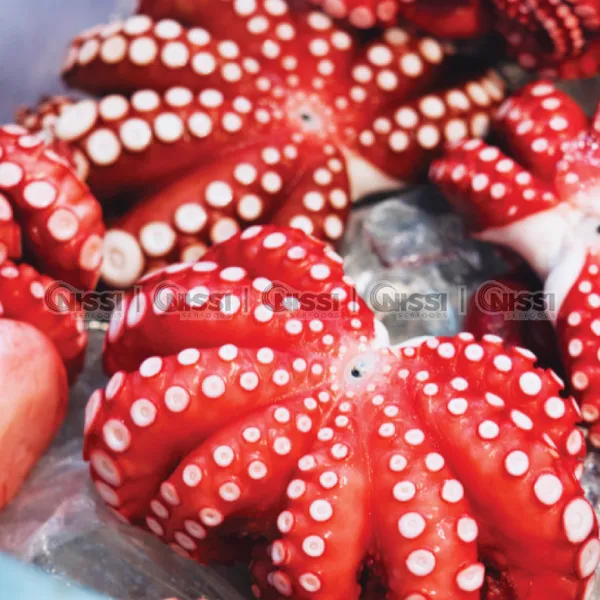 Frozen Boiled Octopus