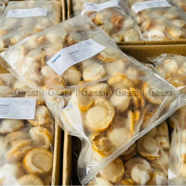 Frozen Boiled Scallop Meat