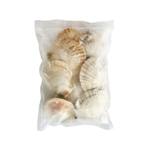 Frozen Halfshell Scallop