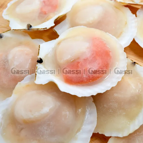 Frozen Halfshell Scallop