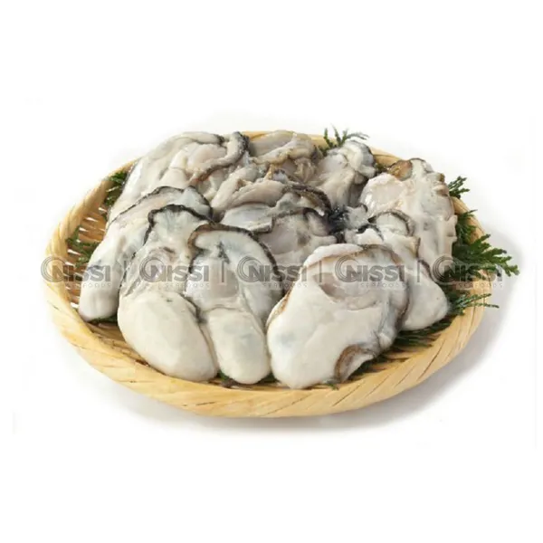 អយស្ទ័រទឹកដោះគោកូរ៉េ (សាច់អយស្ទ័រ)