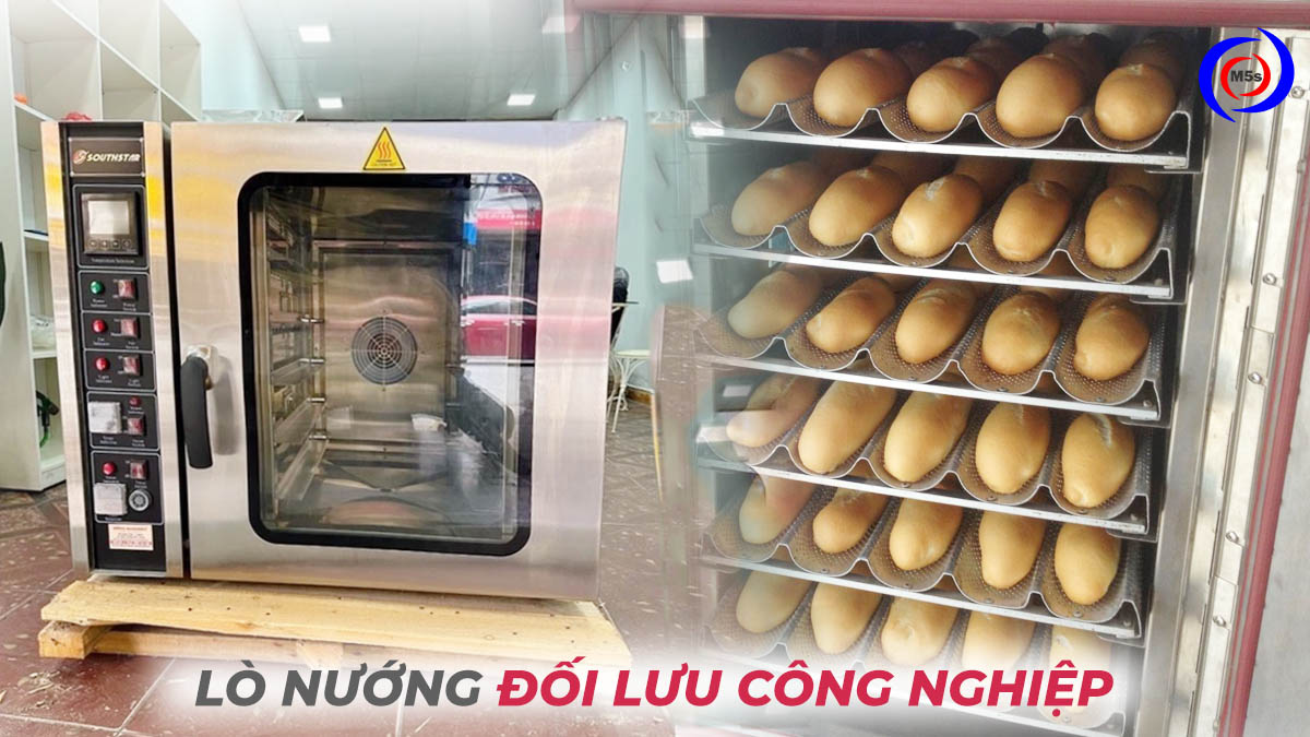 Lò nướng đối lưu công nghiệp Lò nướng đối lưu công nghiệp