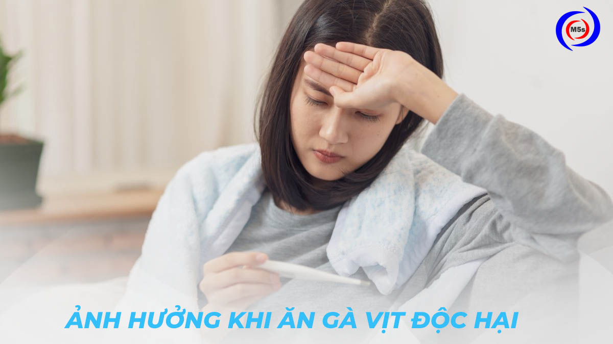 Ngộ độc thực phẩm khi ăn phải gà vịt kém chất lượng Ngộ độc thực phẩm khi ăn phải gà vịt kém chất lượng