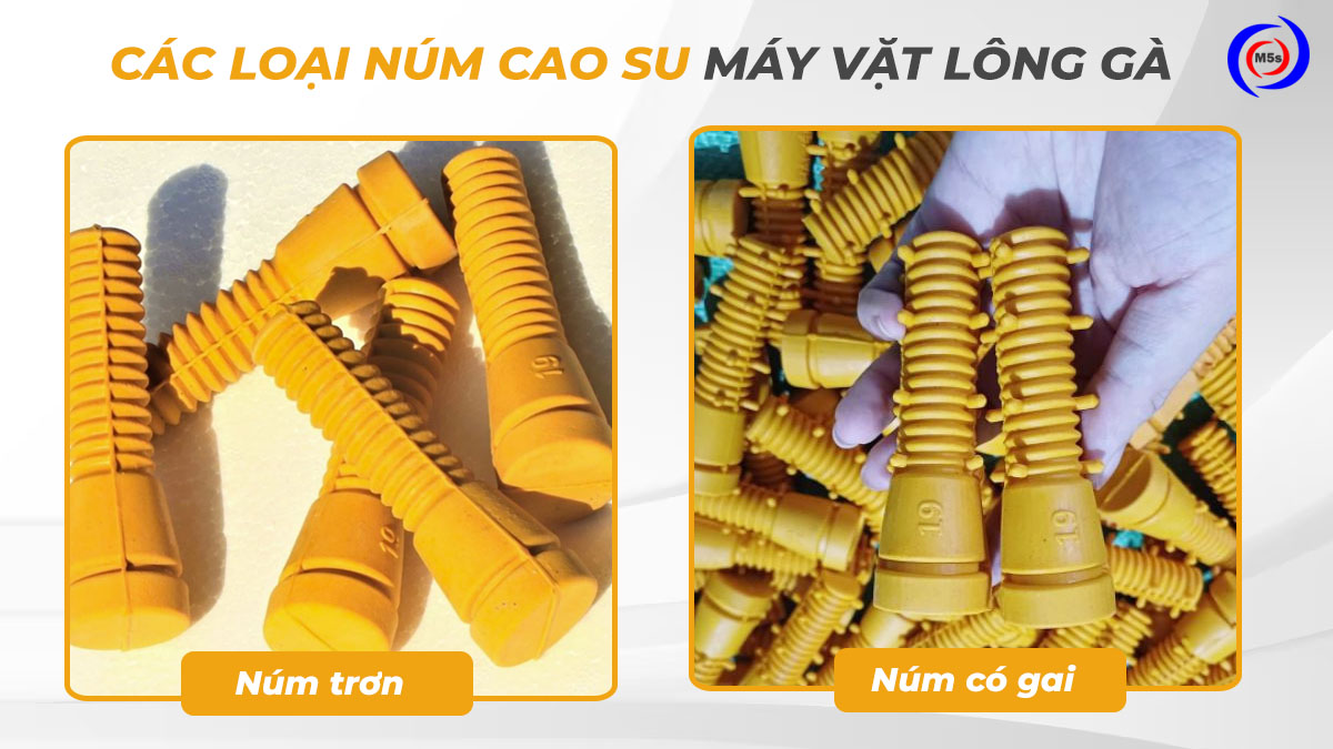 Các loại núm cao su đánh lông gà phổ biến hiện nay Các loại núm cao su đánh lông gà phổ biến hiện nay