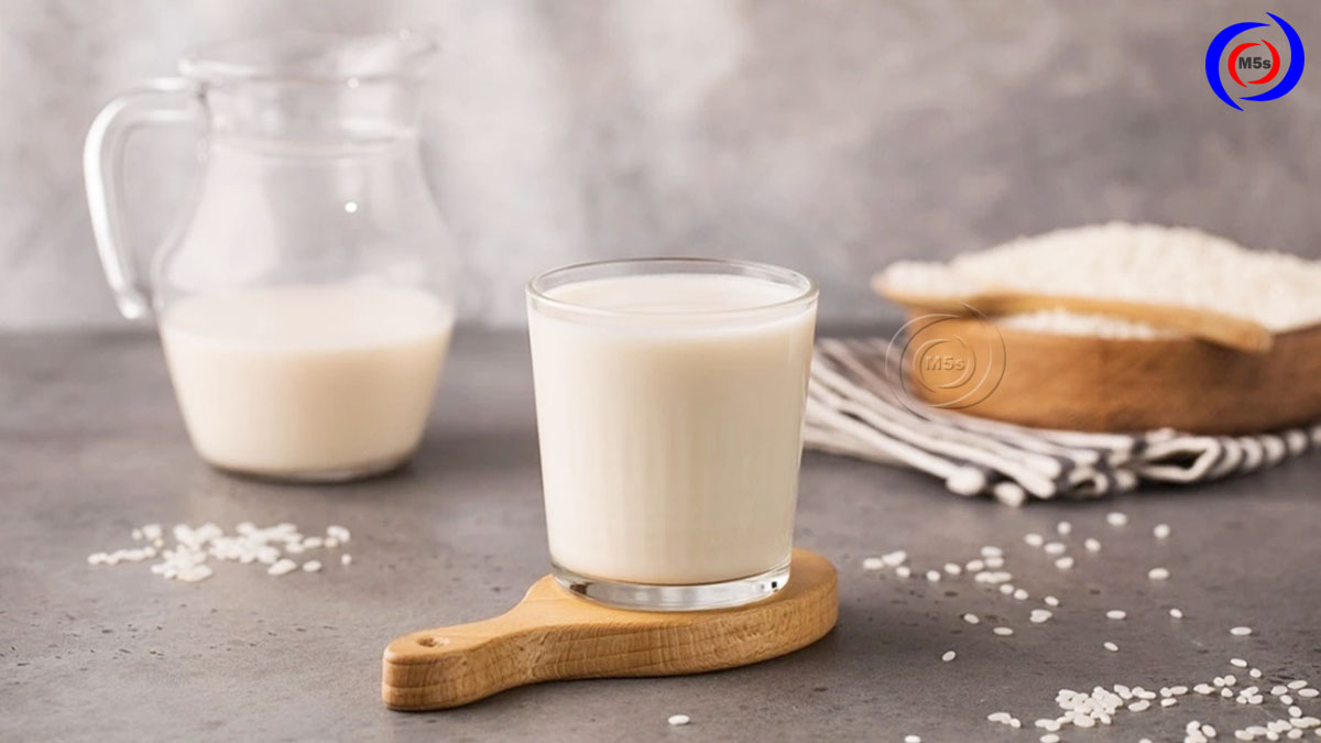 Cách làm sữa gạo rang bằng máy làm sữa hạt Cách làm sữa gạo rang bằng máy làm sữa hạt