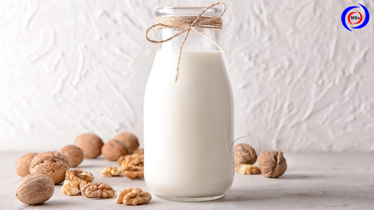 Cách làm sữa hạnh nhân, óc chó bằng máy làm sữa hạt Cách làm sữa hạnh nhân, óc chó bằng máy làm sữa hạt