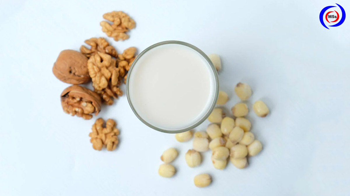 Cách làm sữa hạt sen bằng máy làm sữa hạt Cách làm sữa hạt sen bằng máy làm sữa hạt