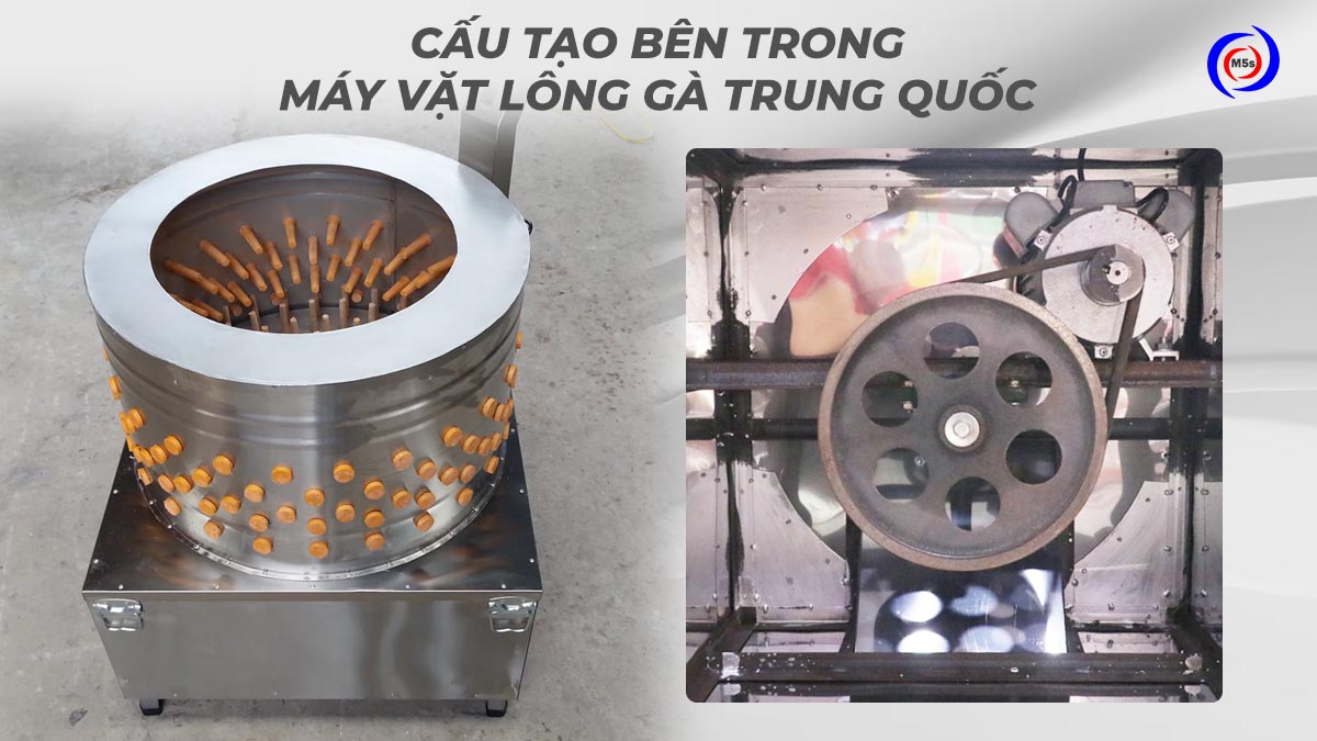 Cấu tạo bên trong máy vặt lông gà Trung Quốc Cấu tạo bên trong máy vặt lông gà Trung Quốc