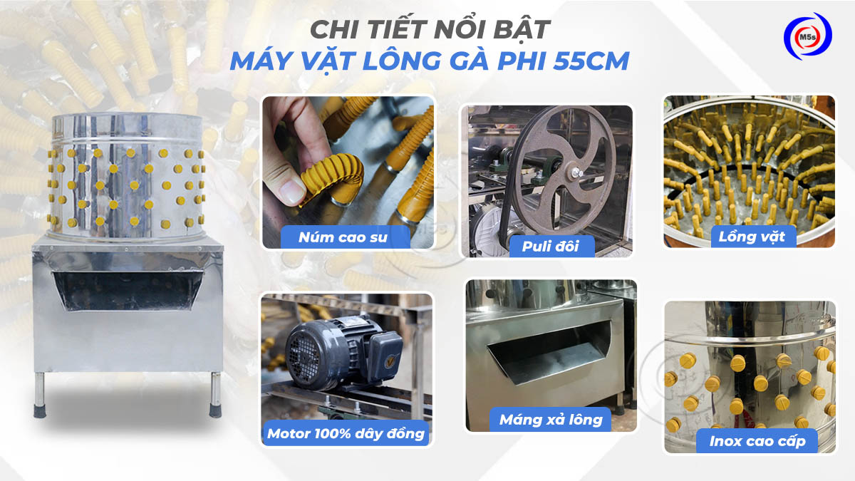 Chi tiết nổi bật của máy vặt lông gà phi 55cm Chi tiết nổi bật của máy vặt lông gà phi 55cm